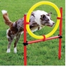 Picture of Dog Agility Complete Kit